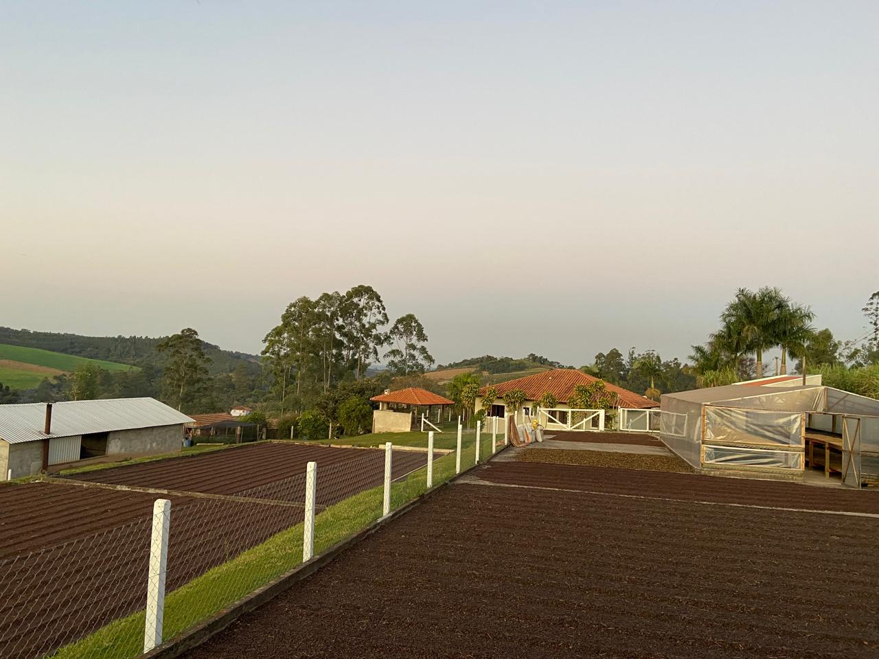 O cafezal e a propriedade